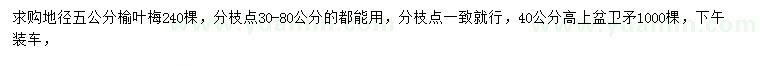 求購地徑5公分榆葉梅、高40公分上盆衛(wèi)矛