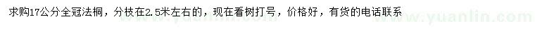 求購17公分法桐