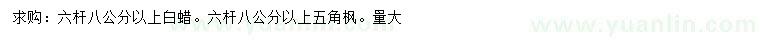求購6分枝白蠟、五角楓