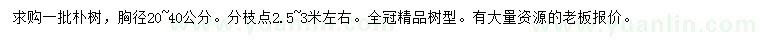 求購胸徑20-40公分樸樹