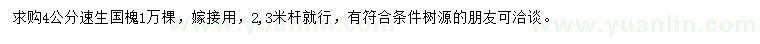 求購4公分速生國槐