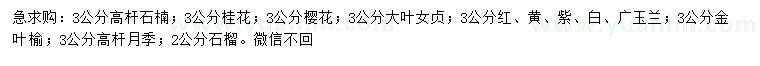 求購高桿石楠、桂花、櫻花等