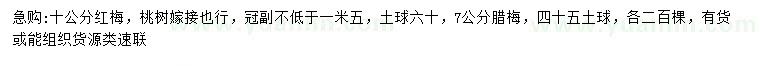 求購10公分紅梅、7公分臘梅