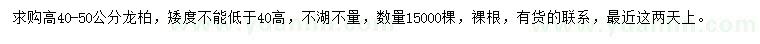 求購高40-50公分龍柏