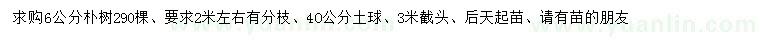 求購(gòu)6公分樸樹