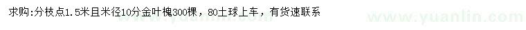 求購(gòu)米徑10分金葉槐