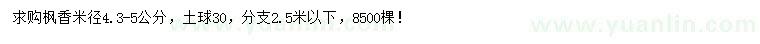 求購米徑4.3-5.5公分楓香