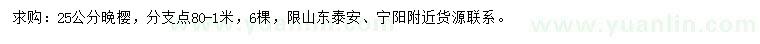 求購25公分晚櫻