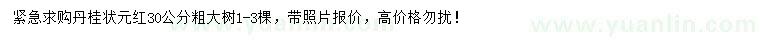 求購30公分丹桂狀元紅
