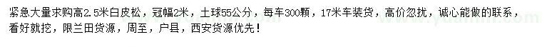 求購(gòu)高度2.5米白皮松