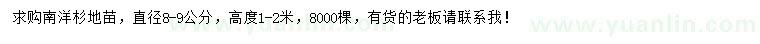 求購(gòu)直徑8-9公分南洋杉