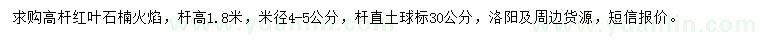 求購米徑4-5公分高桿紅葉石楠
