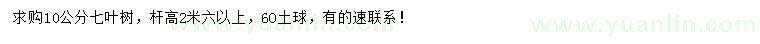 求購10公分七葉樹
