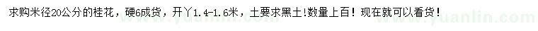 求購米徑20公分桂花