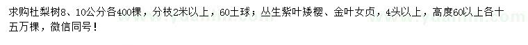 求購杜梨、叢生紫葉矮櫻、金葉女貞