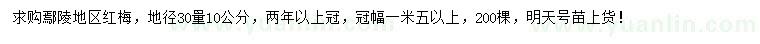 求購地徑30量10公分紅梅