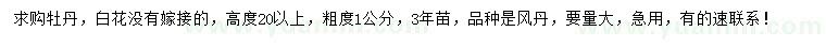 求購高度20公分以上牡丹