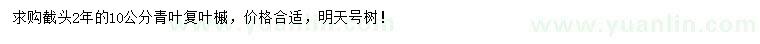 求購10公分青葉復(fù)葉槭