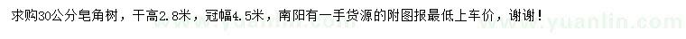 求購30公分皂角樹
