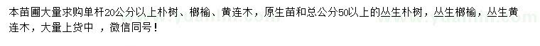 求購樸樹、黃連木、榔榆