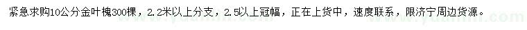 求購10公分金葉槐