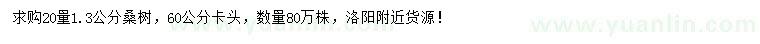 求購20量1.3公分桑樹