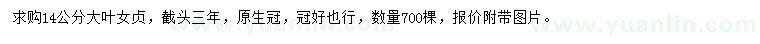 求購(gòu)14公分大葉女貞