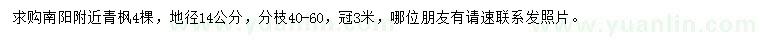 求購(gòu)地徑14公分青楓