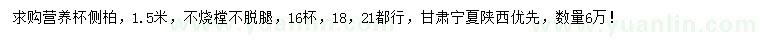 求購1.5米側(cè)柏