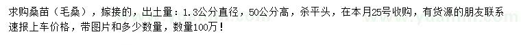 求購高度50公分桑苗（毛桑）