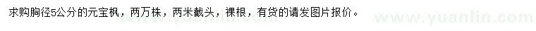 求購胸徑5公分元寶楓