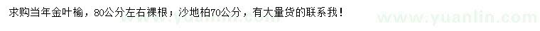 求購高度80公分左右金葉榆、高度70公分沙地柏