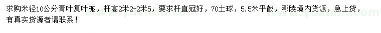 求購米徑10公分青葉復(fù)葉槭