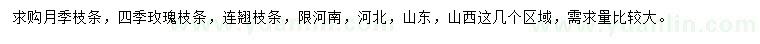 求購月季枝條、四季玫瑰枝條、連翹枝條