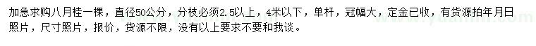 求購直徑50公分八月桂