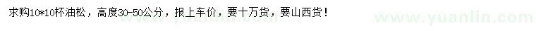 求購高度30-50公分油松