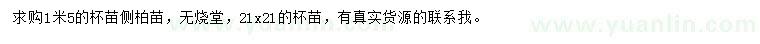 求購(gòu)高度1.5米側(cè)柏