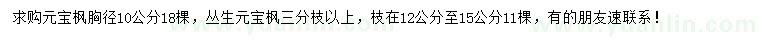 求購(gòu)胸徑10公分元寶楓、叢生元寶楓