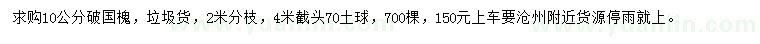求購10公分國槐
