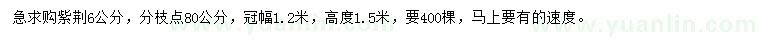 求購6公分紫荊