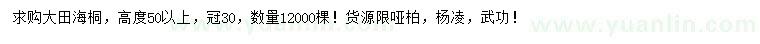 求購(gòu)高度50公分以上大田海桐