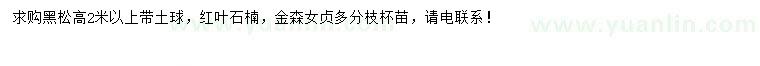 求購黑松、紅葉石楠、金森女貞