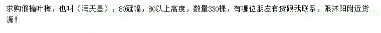 求購高度80公分以上假榆葉梅（滿天星）