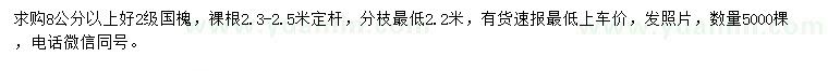求購(gòu)8公分以上國(guó)槐