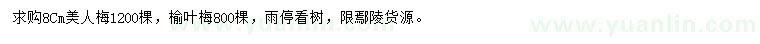 求購(gòu)8公分美人梅、榆葉梅