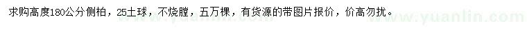 求購(gòu)高度180公分側(cè)柏