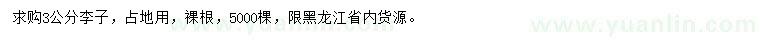 求購3公分李子