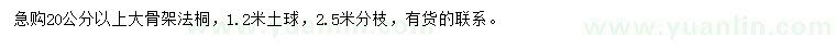 求購20公分以上法桐