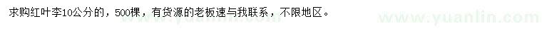 求購10公分紅葉李