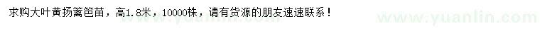 求購高度1.8米大葉黃揚籬笆苗
